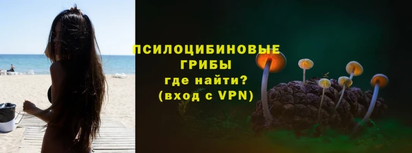 Альфа ПВП Армянск