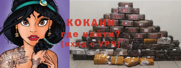 сатива Аркадак