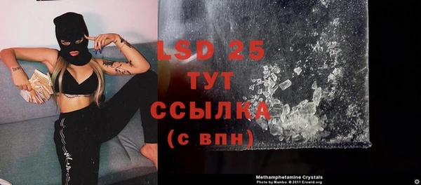 сатива Аркадак