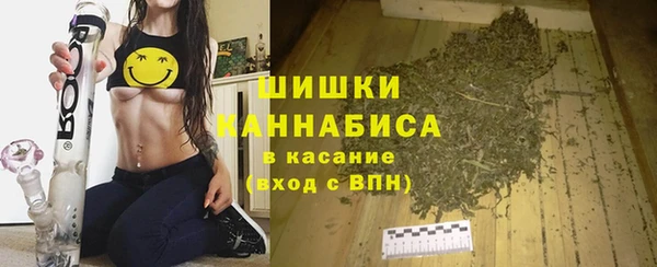 сатива Аркадак