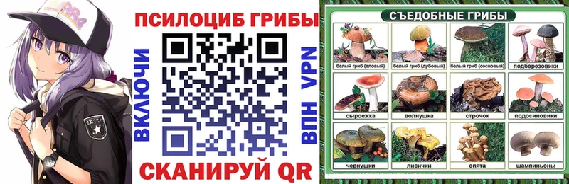 купить  цена  Сычёвка  Псилоцибиновые грибы ЛСД 